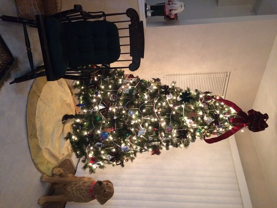 Tree from Dianne & Mark